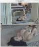 �����Ʒ��Ƶ-��ٳ�� ����С��è[mp4/351M]